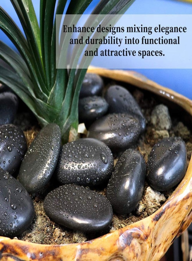 Ercole® Decorative & Stylish Polished Small Black Marble Pebbles for Aquariums Fish Tanks Vase Fillers Home Garden Decor (Black-Small, 500 Grams) - Image 5
